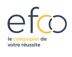 Logo efco