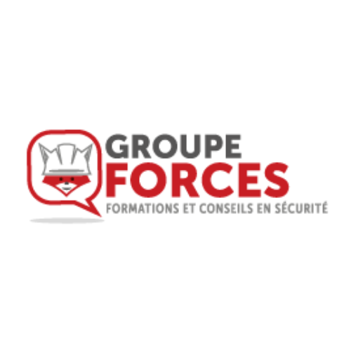Logo groupe forces formation