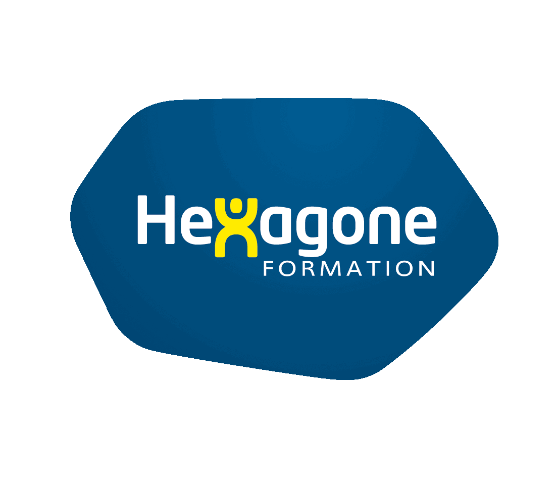 Logo hexagone bloc sans aucun fond