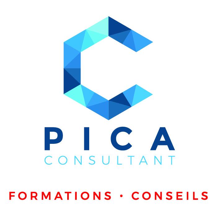 Logo pica consultant